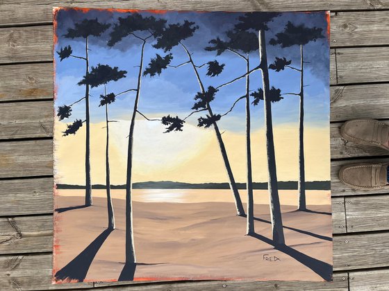 Pines at dusk