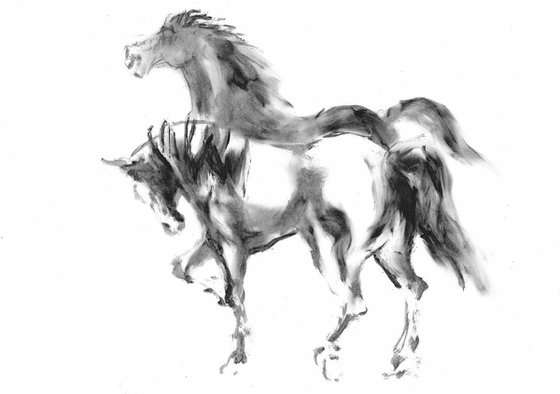 HORSES