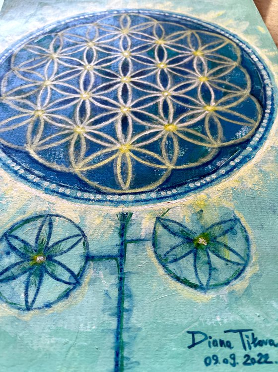 Turquoise Flower of Life