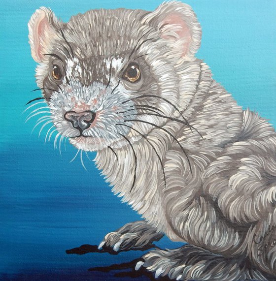 Ferret Pet Rodent Original Art Painting-8 x 8 Inches Deep Set Stretched Canvas-Carla Smale