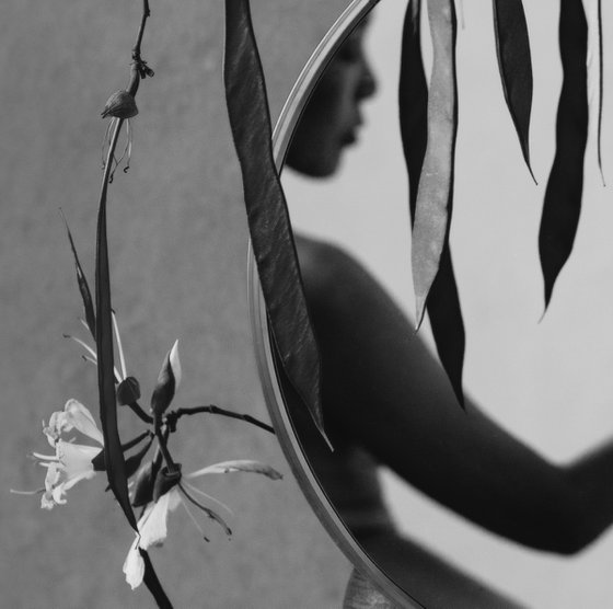 Farewell to Spring #1
