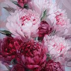 Peony