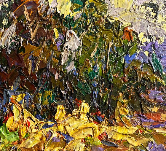 Corn fields in the village