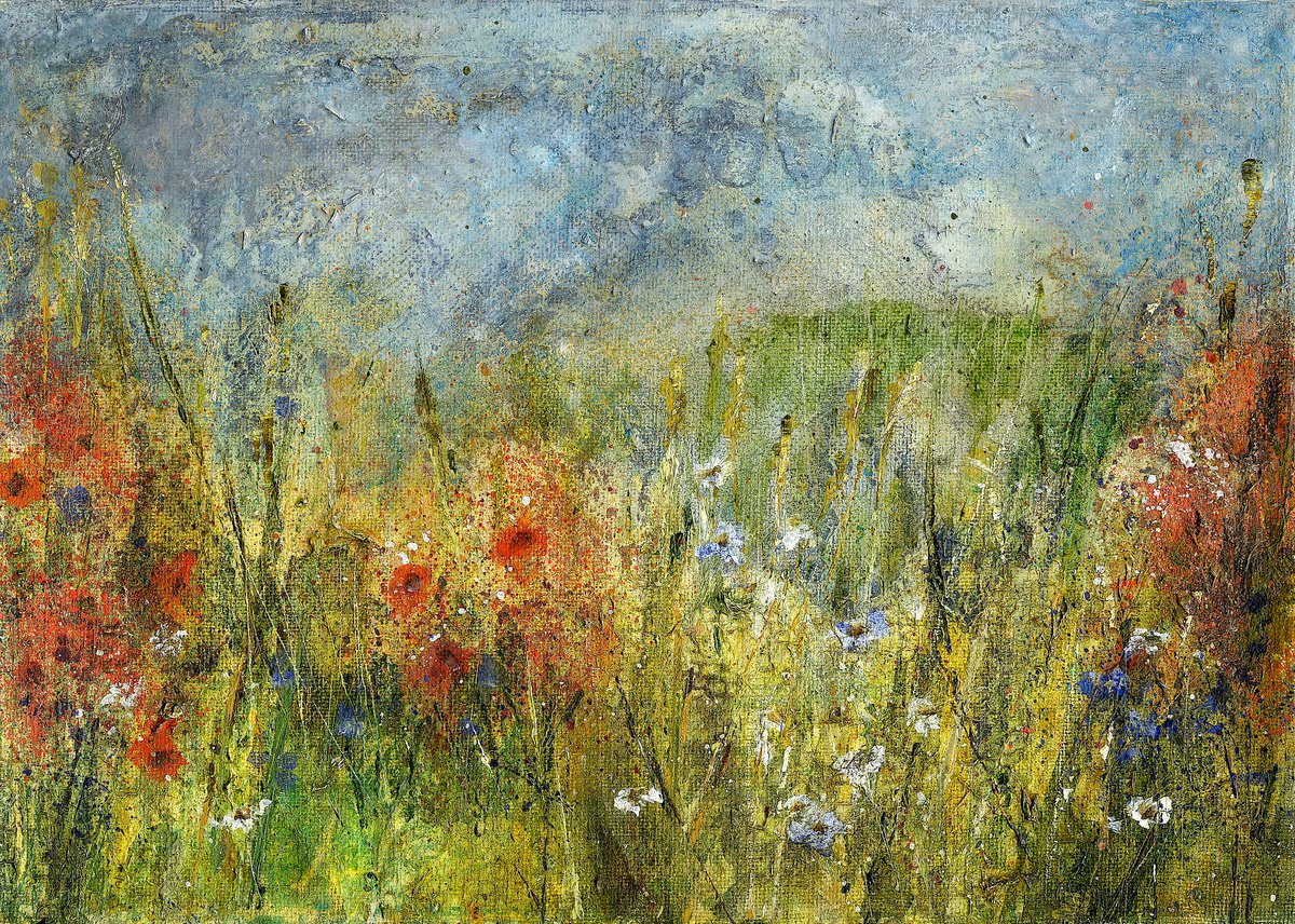 Poppy field by Suzsi Corio