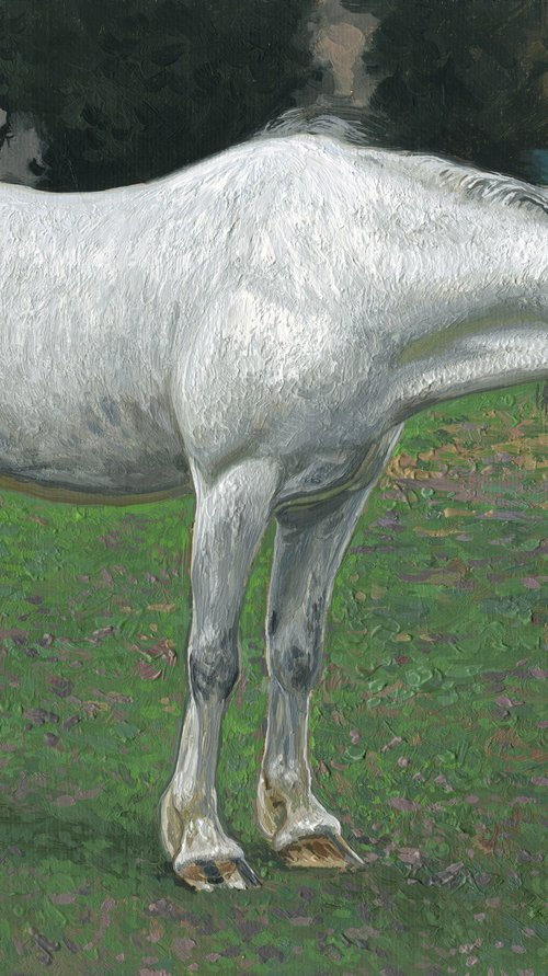 White horse by Simon Kozhin