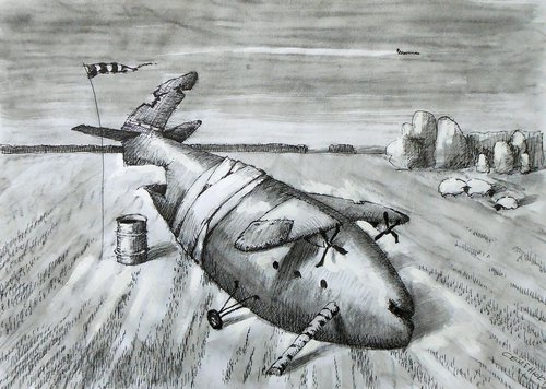 Old plane 2 by Evgen Semenyuk