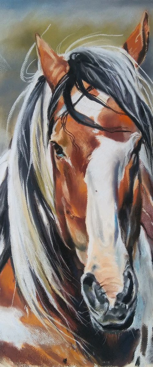 Mustang III by Magdalena Palega