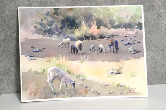 Cretan sheep Watercolor Small version