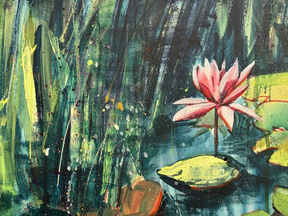 Lotus pond