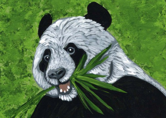 ACEO ATC Original Miniature Clayboard Painting Panda Bear Wildlife Art-Carla Smale