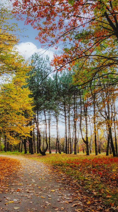 Autumn in the botanical garden. Kriviy Rig.Ukraine by Vlad Durniev