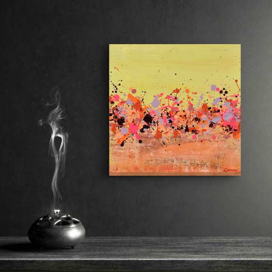 Sunkist Coral 2