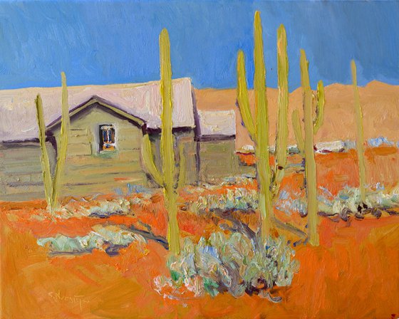 Old Houses and Cactuses