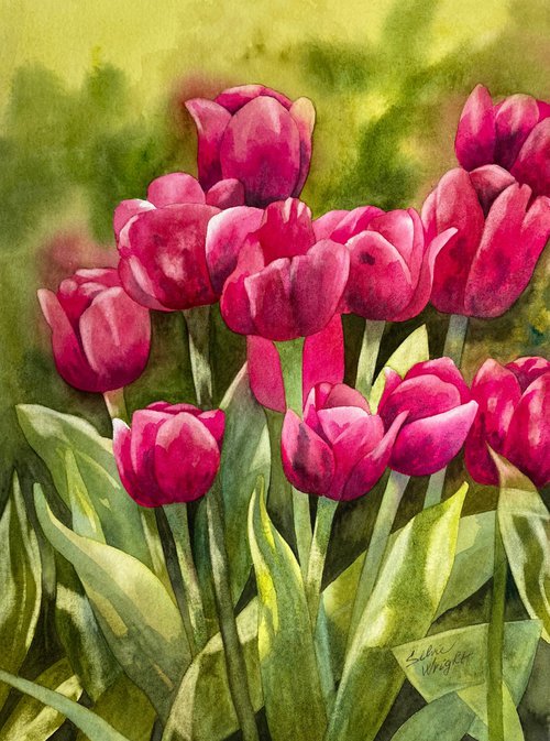 Spring Tulips by Silvie Wright