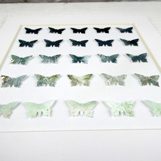25 Grey butterflies