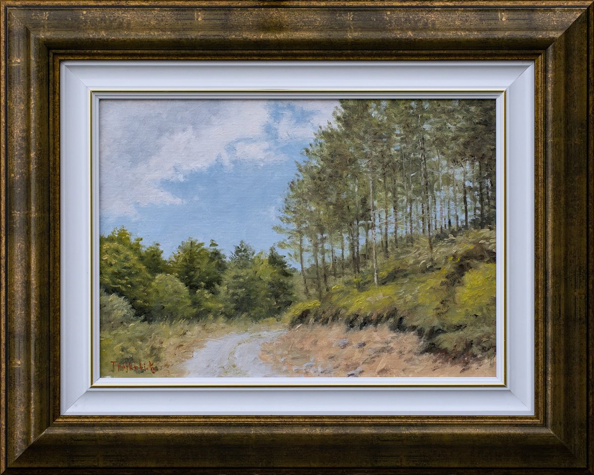 Impressionistic Landscape Oil Painting By Dejan Trajkovic, 20 X 16, Tapan, Original Artwork