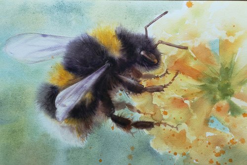 Blossom Buzz: A Bumblebee's Delight - Summer Bumble bee by Olga Beliaeva Watercolour