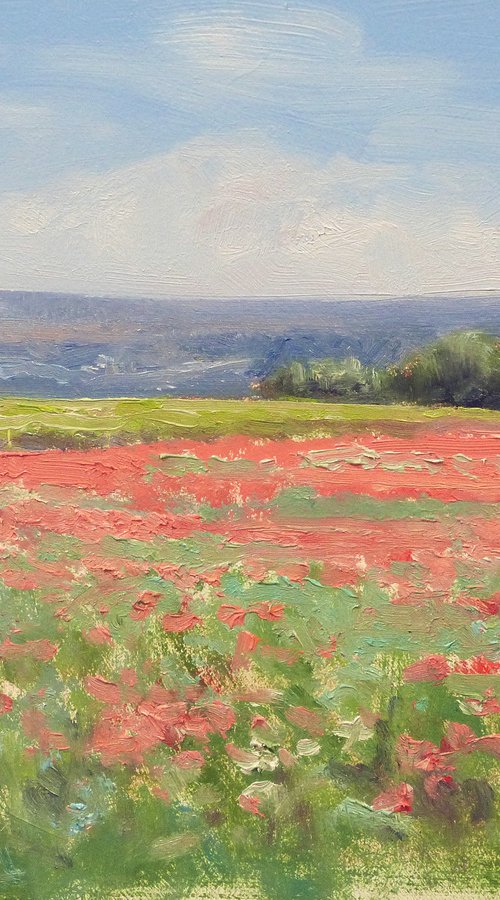 Poppies by Pascal Giroud