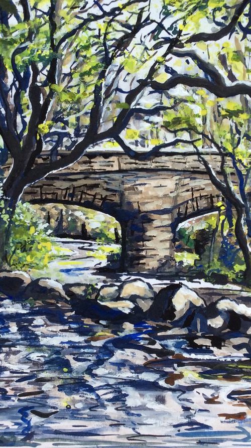 Steps Bridge in Spring by Lucy Smerdon