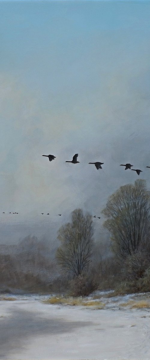 Geese on the run. by Gerard Kramer