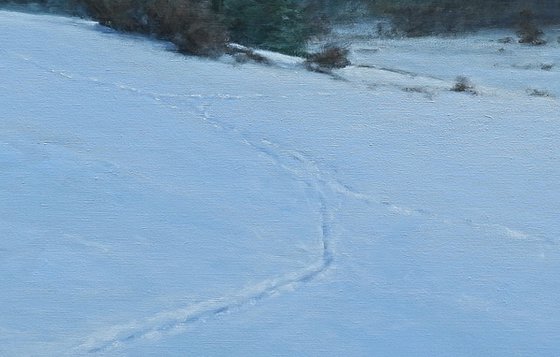 Snowlandscape