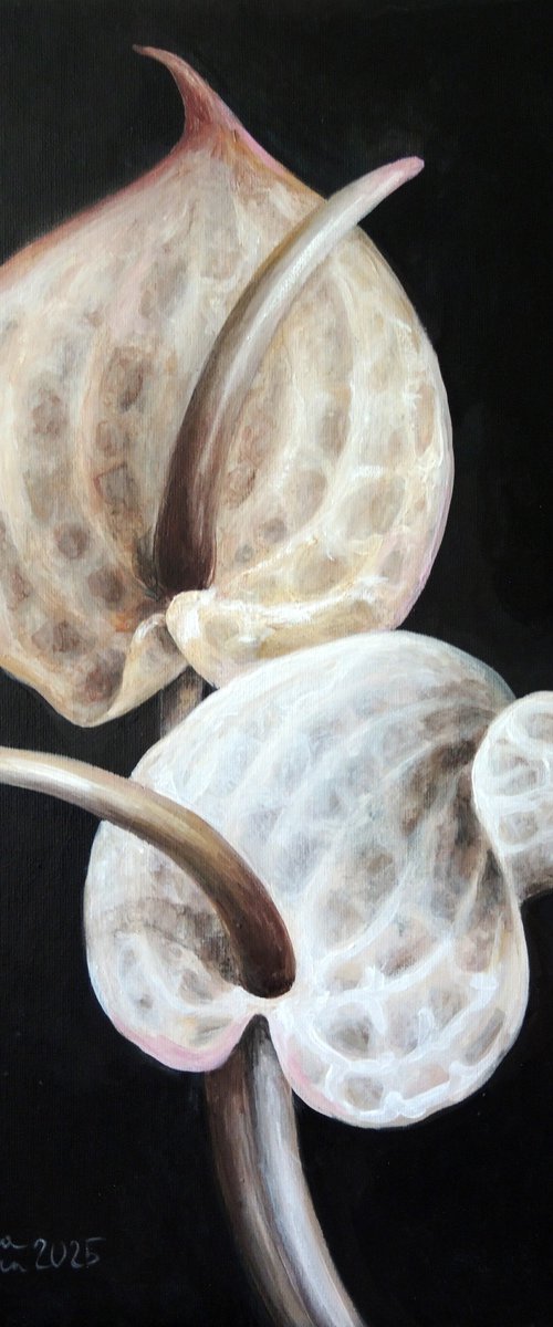 A tender friendship by Albina Bunina