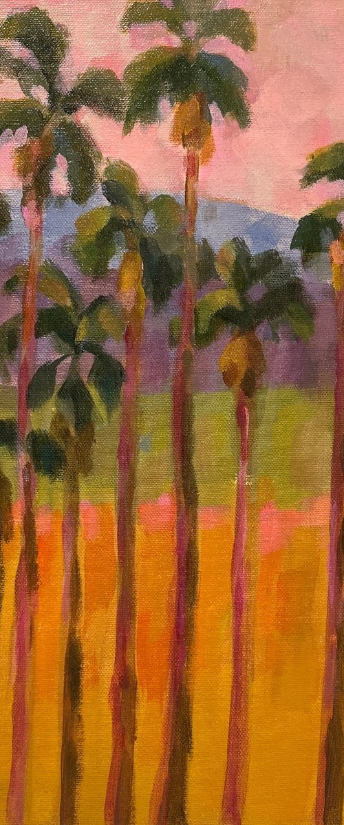 Thousand Palms by Silvia Vassileva