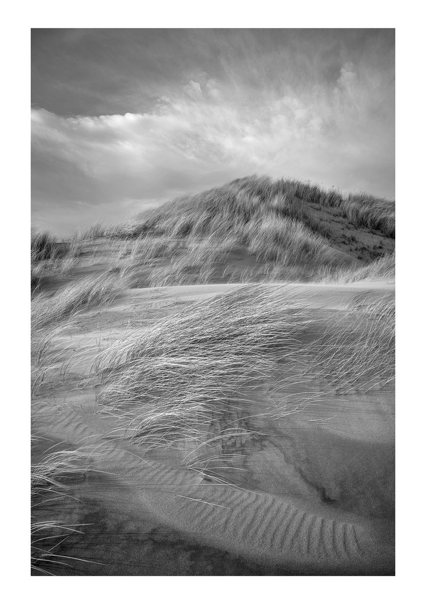 Dunes | Motion | I by David Baker