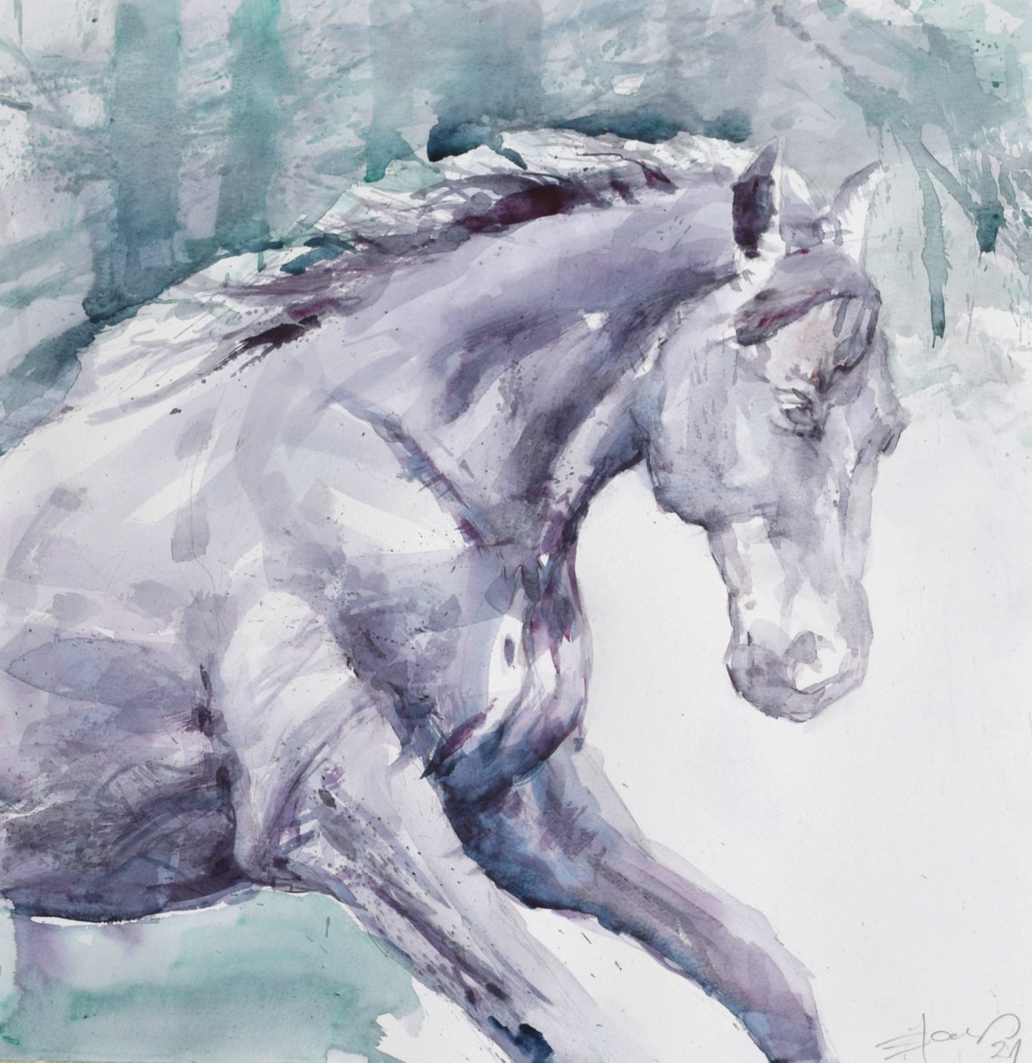 Black horse in the run by Goran �igoli? Watercolors