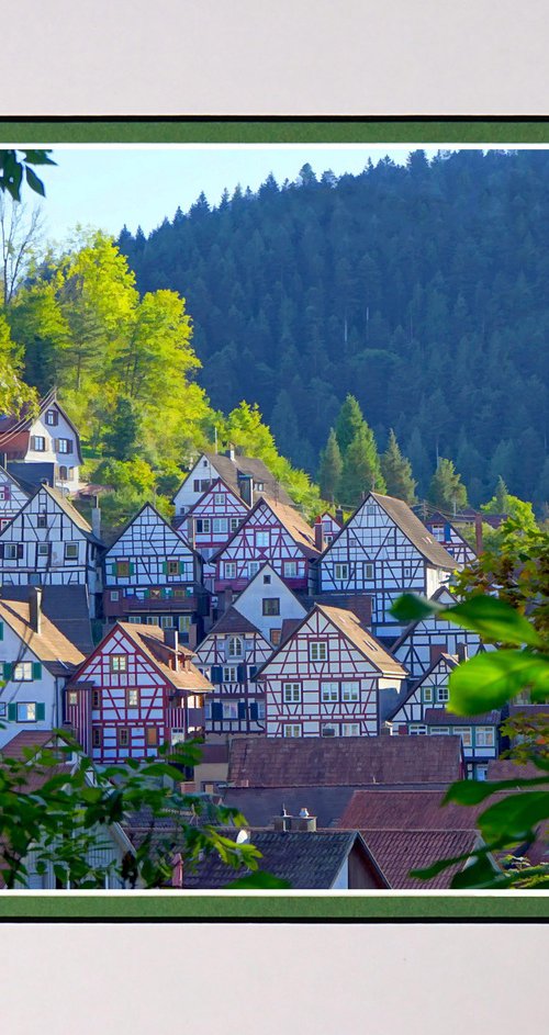 Black Forest Germany one by Robin Clarke