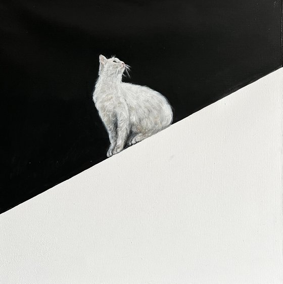 Minimalist Cat That’s Too Cool to Ignore