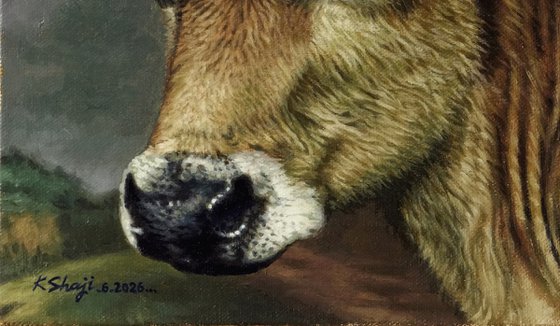 Portrait of a Calf