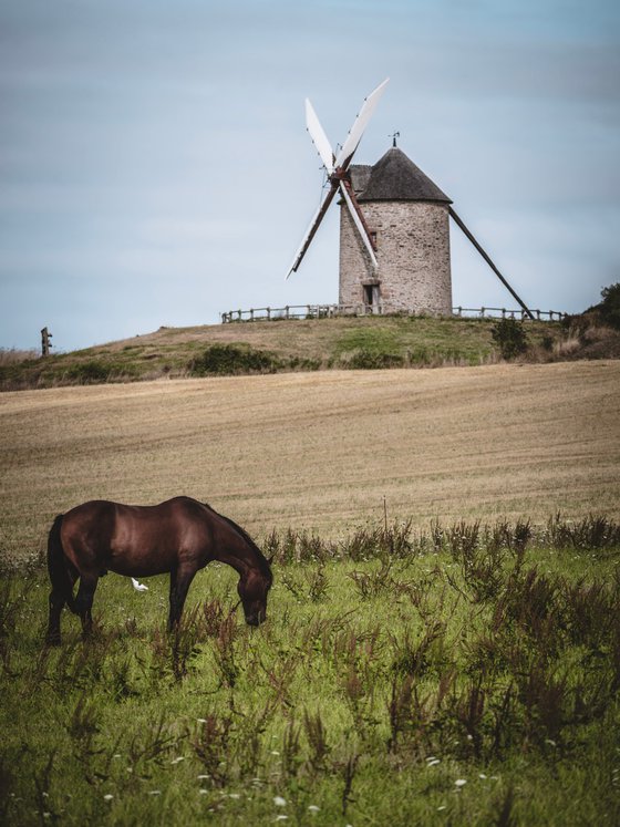 NORMANDY MOMENTS