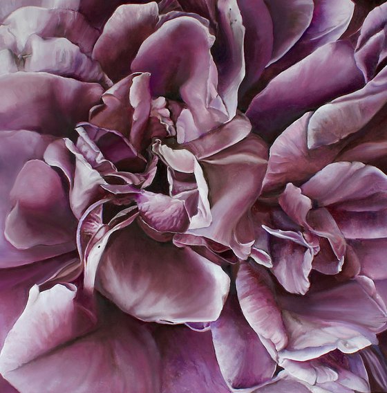 Velvet Purple Flower