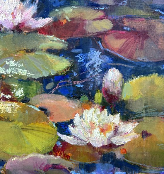 Water lilies