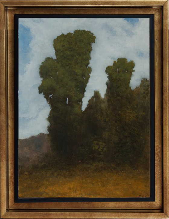 The art of seeing