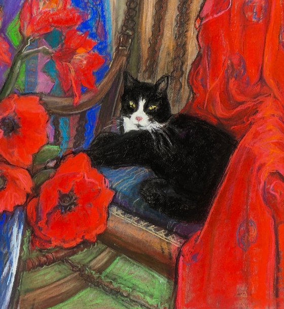 Black cat with Poppies