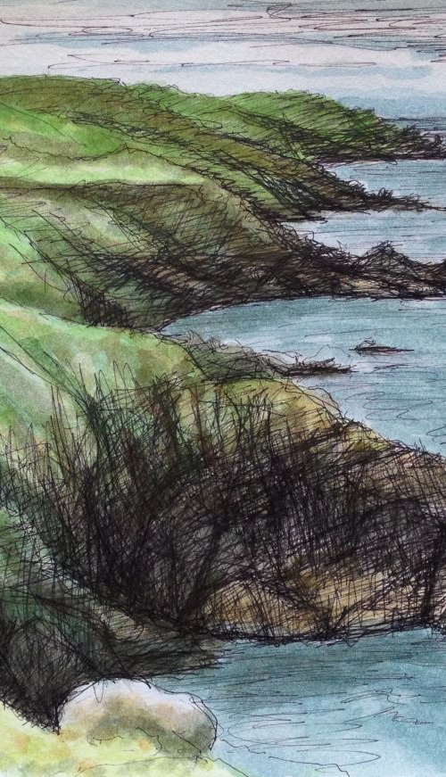 Cloggi Coastal Path, St Ives, Cornwall by David Lloyd
