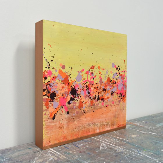 Sunkist Coral 2