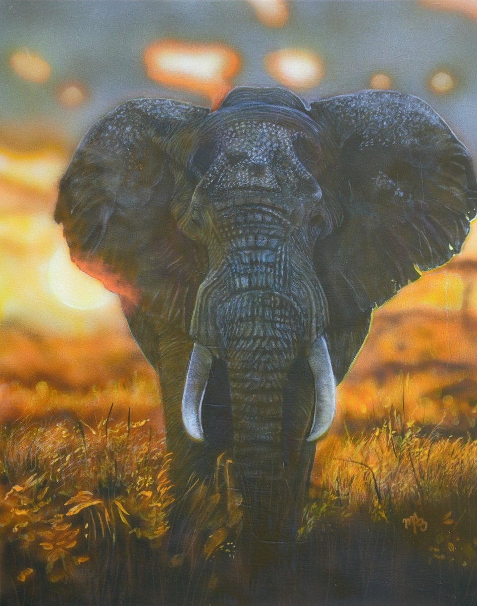 Photorealistic Animal Acrylic Painting By Maria Arias, 17 X 20", Awakening, Original Artwork