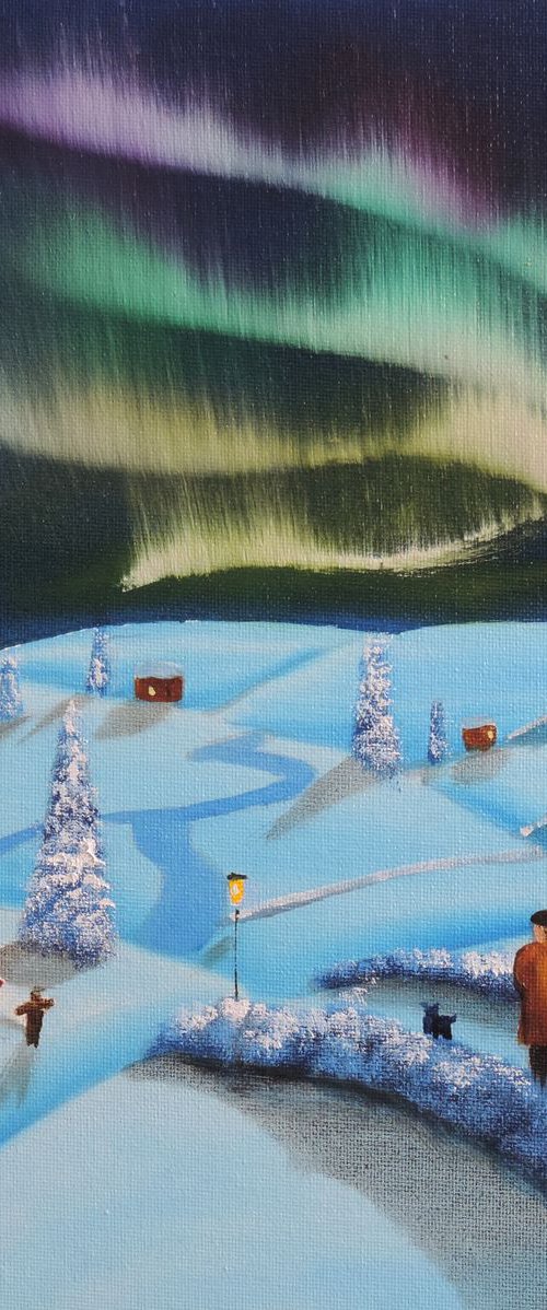 Northern lights in winter by Gordon Bruce