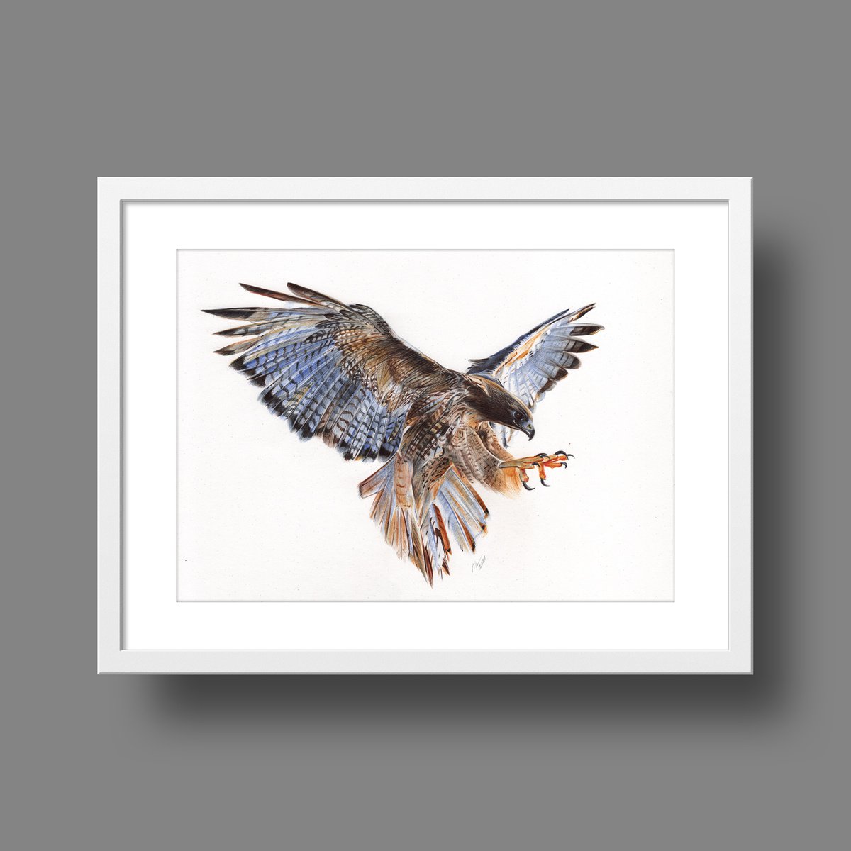 Photorealistic Animal Drawing By Daria Maier, 13 X 9, Falcon, Original Artwork
