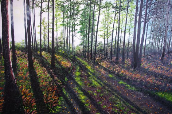 Startling Afternoon shadows.