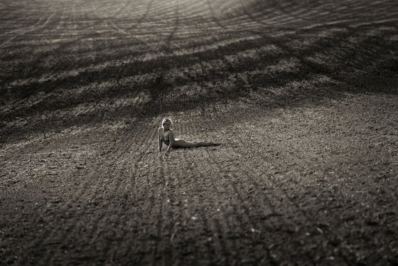 Telluric Fields II.
