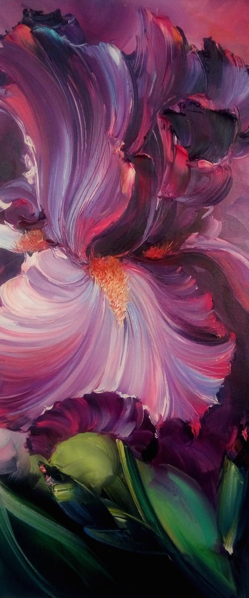 Iris by Artem Grunyka