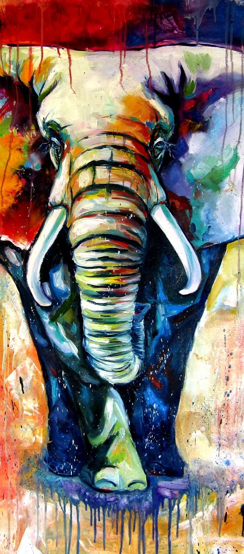 Majestic colorful elephant by Kovács Anna Brigitta