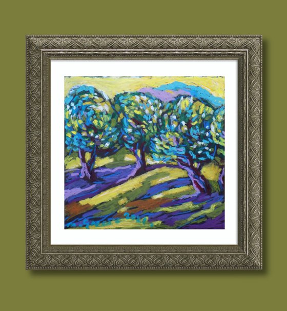 Olive grove No 32