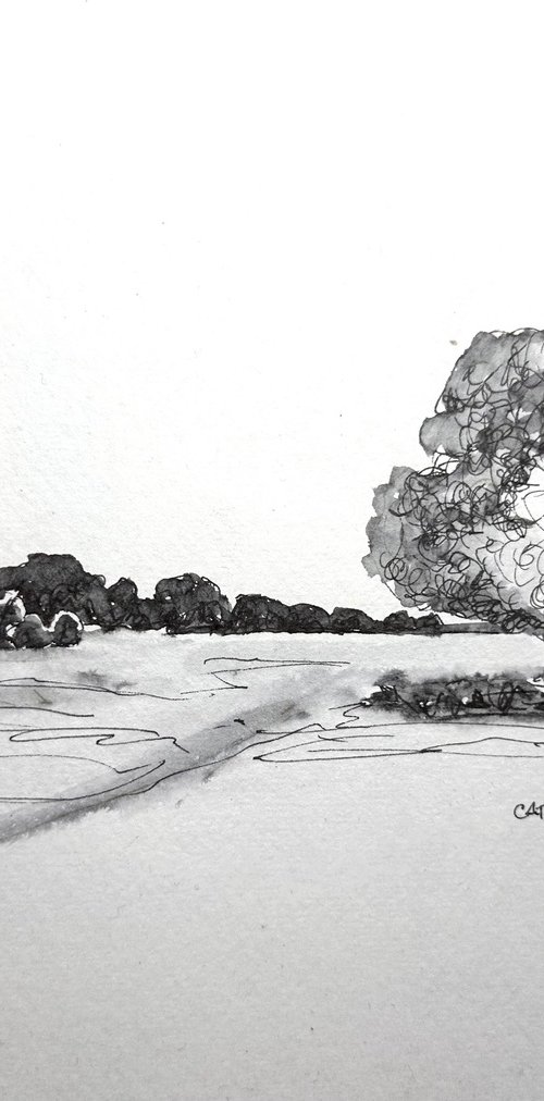 Trees in Pen and Ink - Norfolk Landscape English Countryside by Catherine Winget