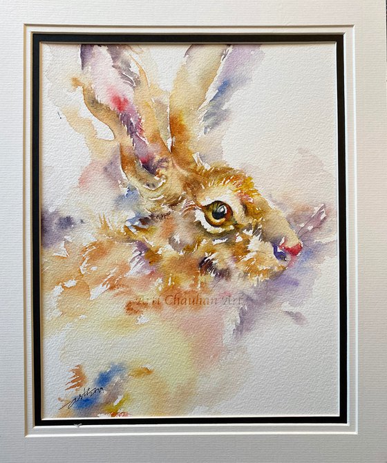 Honeycomb Hare