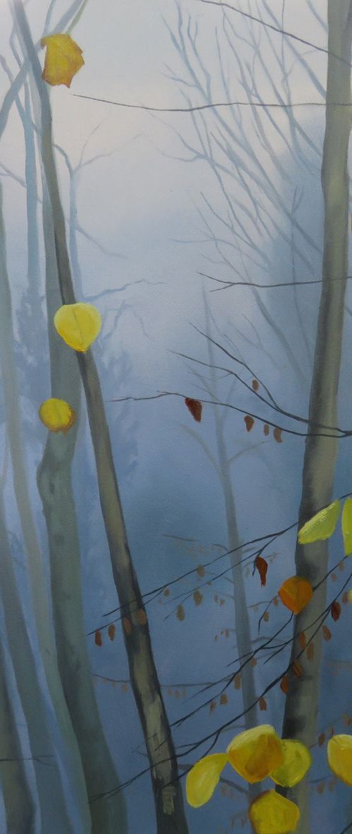 Light and magic by Kerry Lisa Davies